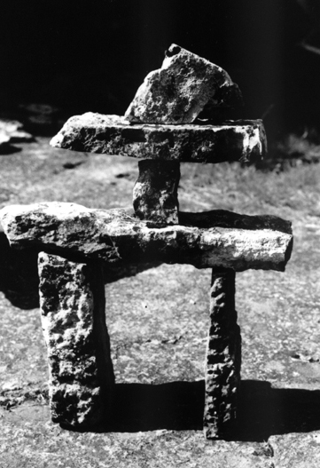 24Stenfagel